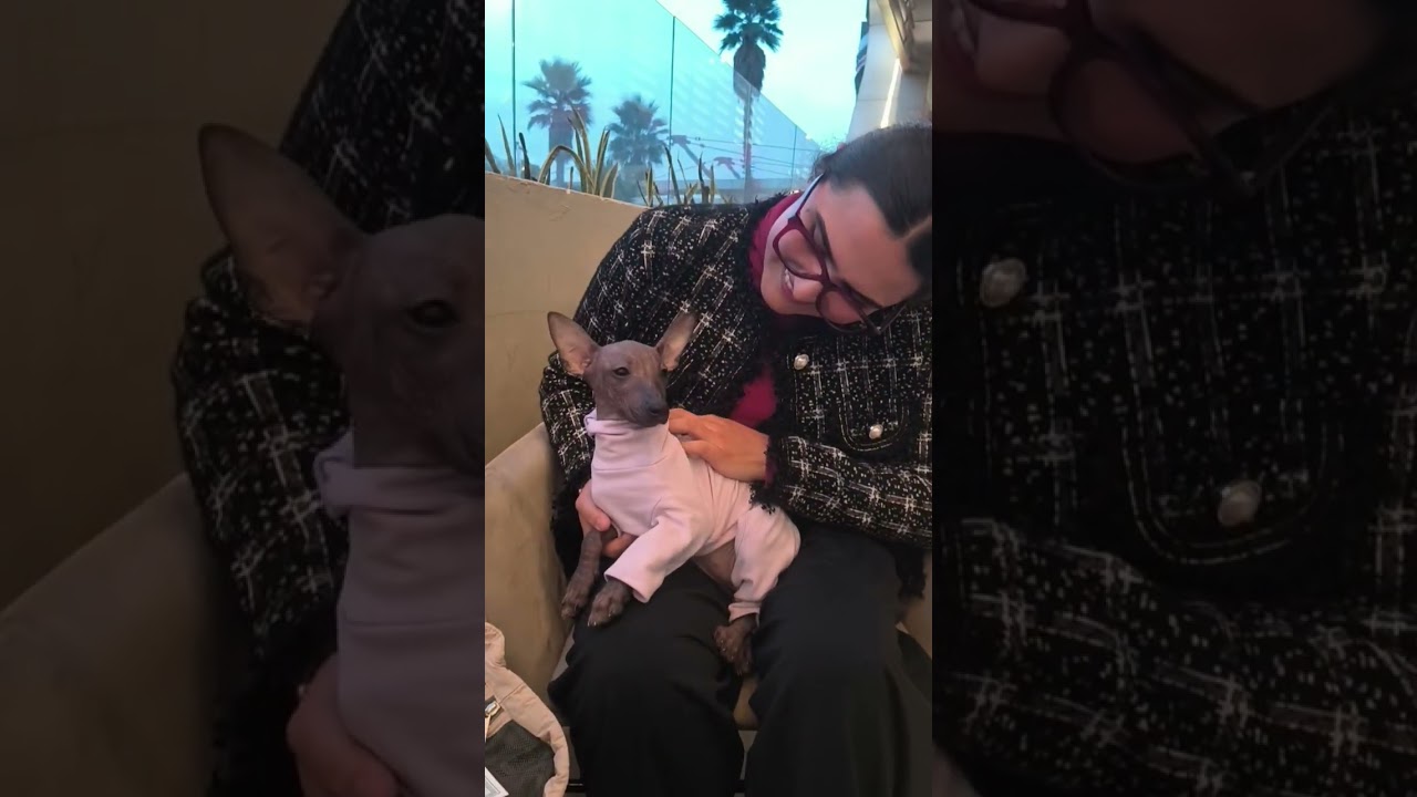 Entrega de Sami Ramírez a Patricia