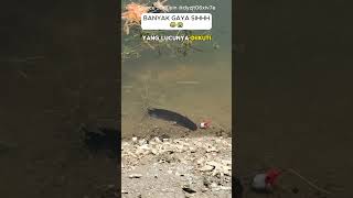 Download lagu Funny angler fishing his fish ran away #fishing #laughing #shorts #viral #laughter #crazy #funny mp3 Download lagu Funny angler fishing his fish ran away #fishing #laughing #shorts #viral #laughter #crazy #funny mp3
