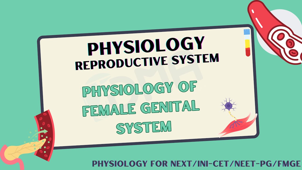 Physiology of Female Genital System | Physiology for NEXT/INI-CET/NEET-PG/FMGE | DMA Chennai