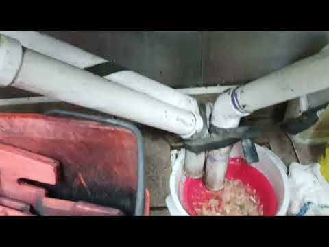 Dirt & Grease Contributed to a Fruit Fly Problem in Manville, NJ