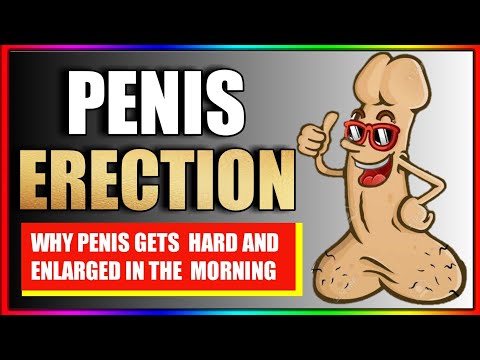 unghiul erect al penisului
