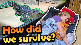 24 Hours Trapped Inside Snake Discovery (Snowstorm Survival)