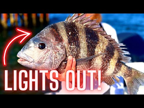 Fishing Sheepshead Spawning on YouTube