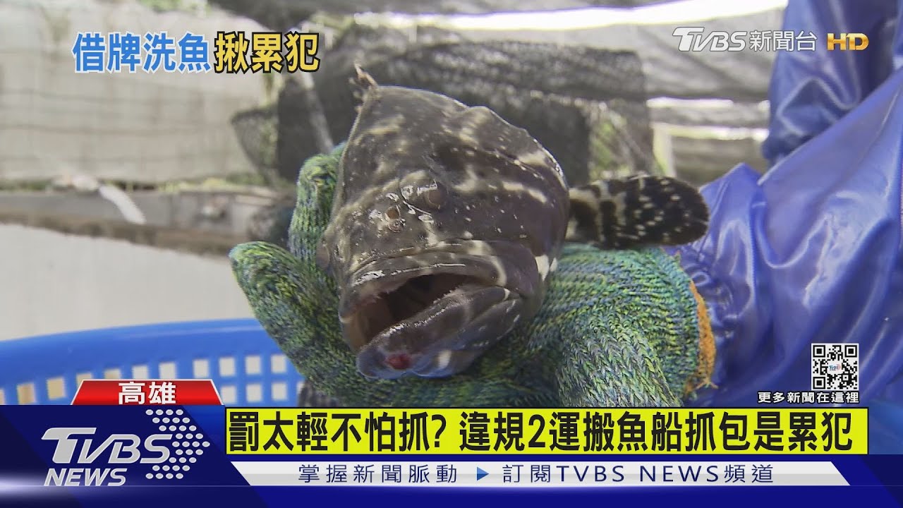 抓到了! 2漁船累犯「借牌」混魚各重罰15萬