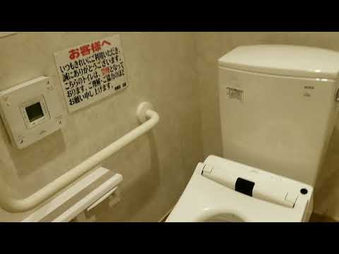 何これ？　WC トイレ🚻　女子が撮影する宝箱の中身　water closet 手摺の位置確認　サニタリーボックス汚物入れ　水流　 2021年1月7日