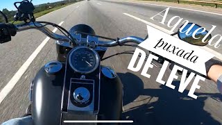 HARLEY DAVİDSON Fat Boy 114 Video