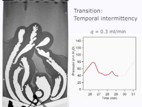 Frictional Fluid Dynamics II