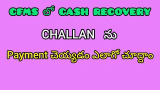 How to generate CFMS Cash Recovery Challan