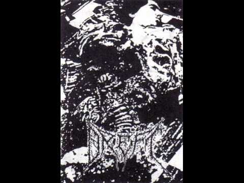 Dreft - Rotted From The Parasites
