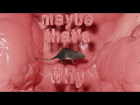 Devon Again - Maybe That's Why (Official Audio)
