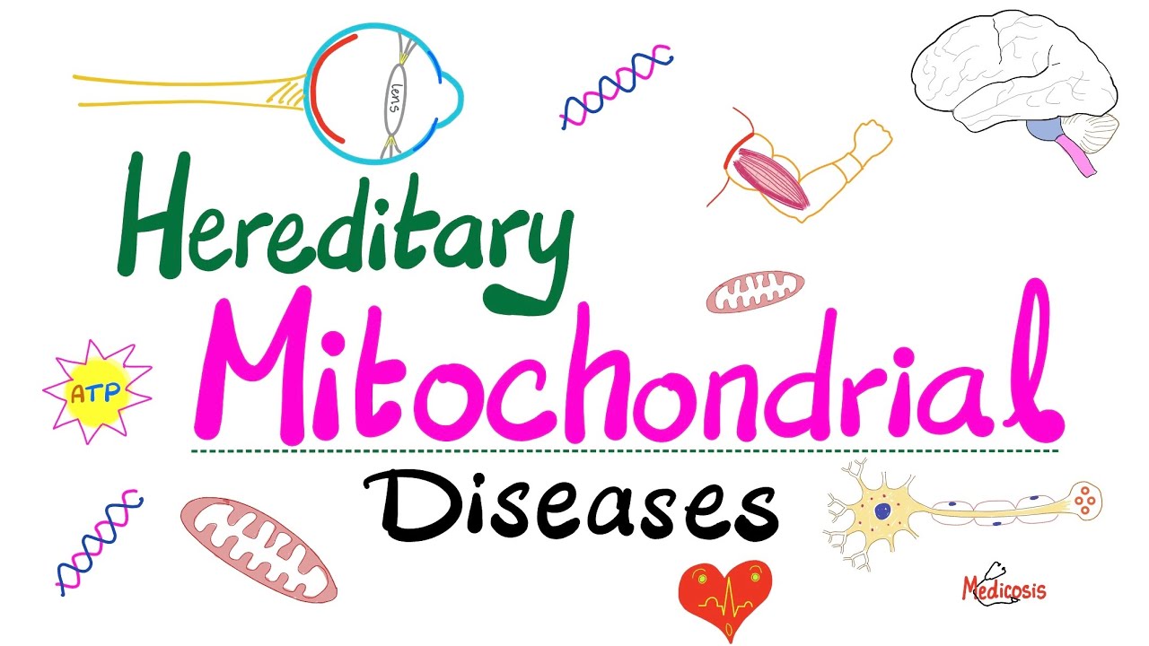 Hereditary Mitochondrial Diseases - Leber Hereditary Optic Neuropathy , MELAS, MERRF - Biochemistry