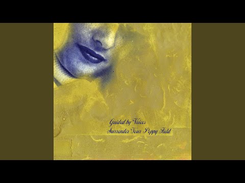 Miniatura de YouTube - Steely Dodger