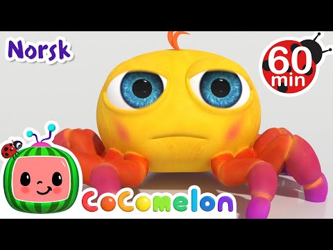 Lille Petter Edderkopp | Vuggesanger for Babyer | CoComelon Norsk