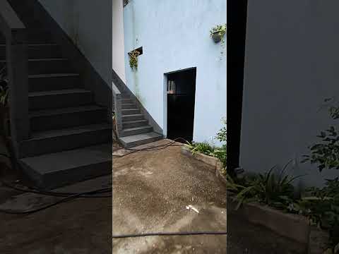 Vídeo: Gerador 100 kVA: perguntas e respostas técnicas