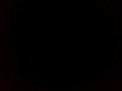 bal fintoag   2013 miron golesie si nicolae moga de jok