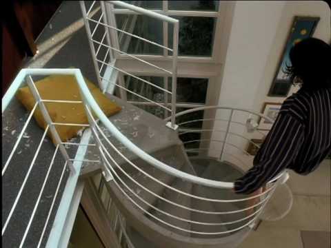 franco paroni Cameo Vitalis