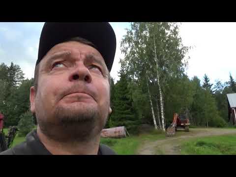 Ei mitään järkee tässä...