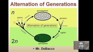 Alternation of Generations