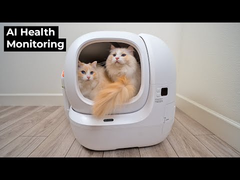 PETKIT Purobot Max Pro 2 Review: The Best Value Automatic Litter Box?