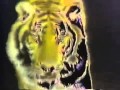 Old English 800 Commercial 1988