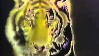 Old English 800 Commercial 1988