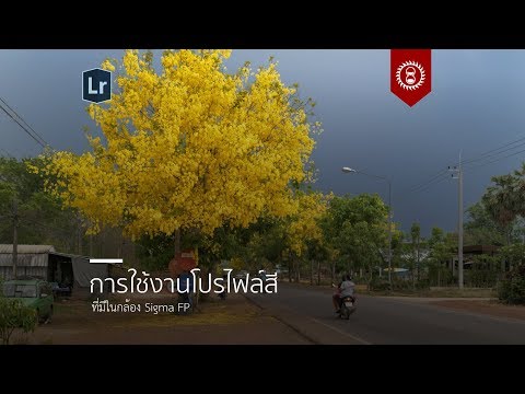 คลิกเพื่อดูคลิปวิดีโอ