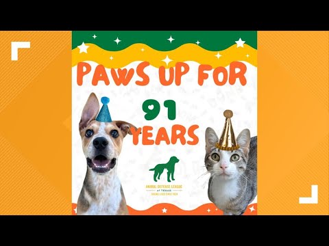 Animal Defense League celebrating 91 years with adoption special