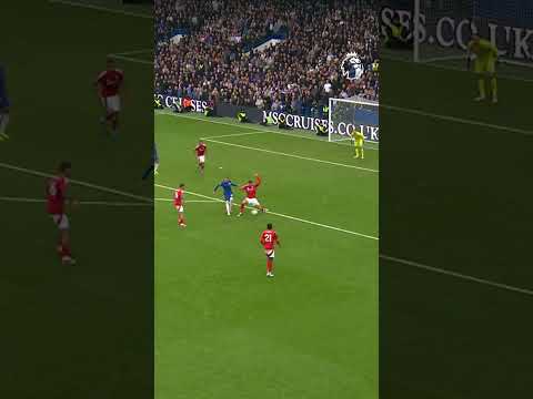 Magical Touch from Palmer  🥶