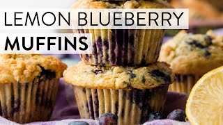 Lemon Blueberry Muffins | Sally's Baking