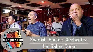 Spanish Harlem Orchestra performs La Salsa Dura