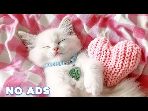 12 Hours Of Anti Anxiety Music For Cats 🐈 Stress Relief Music For Cats ♬ Calming Music For Cats #33