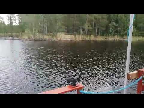 Kalaopas Finland - opastetut kalastusretket / kalastusristeily