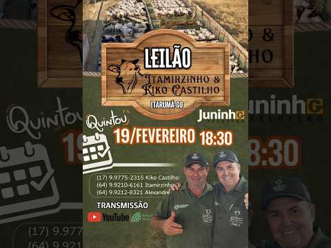 Leilão Parceria SR de Itarumã-GO, Kiko Castilho e Itamirzinho