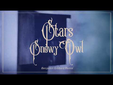 Video thumbnail for Snowy Owl (Benjamin Gibbard Remix)