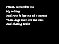 The Trapeze Swinger Iron And Wine Lyrics