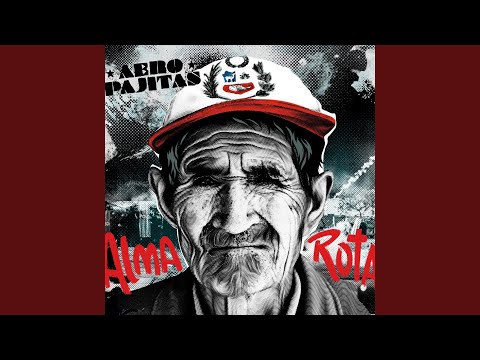 La Noche de los Gatos