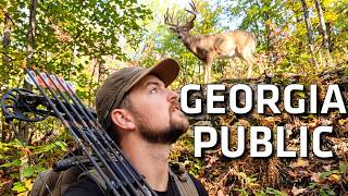 Early Season GA Public Land