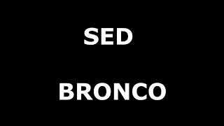 Sed Letra Bronco