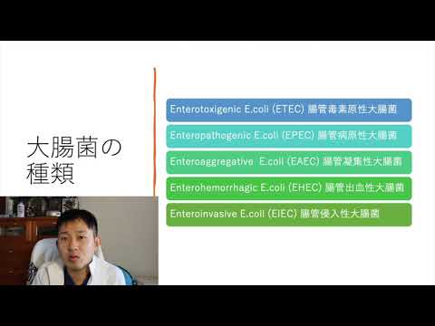 肺組織内の腸球菌