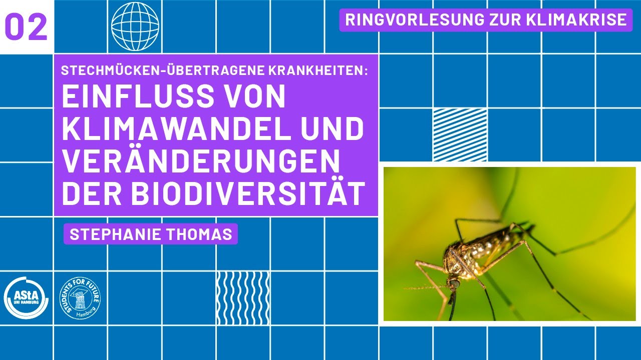 Einfluss von Klimawandel und Veränderungen der Biodiversität | Fridays for Future