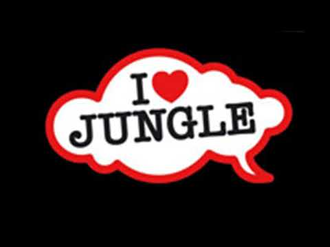 Dj Taktix - The VIP (Final Chapter)