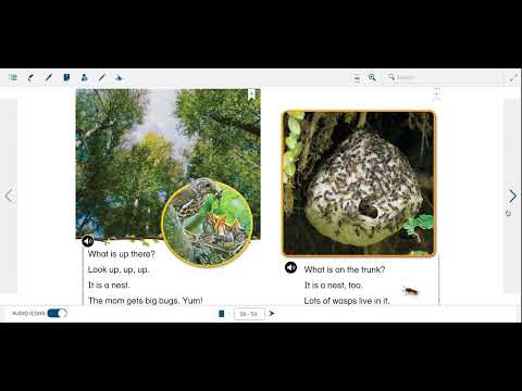 First Grade Wonders The Best Spot