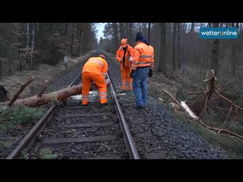 wetteronline.de: Schäden durch Sturm ECKHART (18.03.2017)