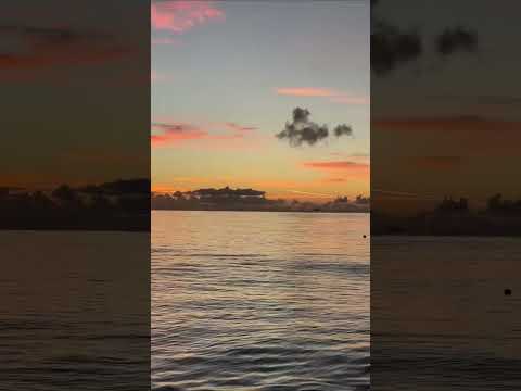 Sun, Sand, And Good Vibes