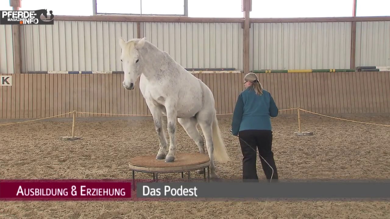 Zirkuslektion: Das Podest