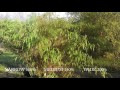 Gopro FOV Comparison Filesize Imagequality RB Films