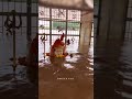 Narmada Maiya Gourighat Jabalpur Gwarighat Narmadariver Viral Ytshorts Mptourism Travel