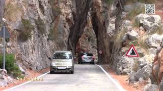 Majorka - perła Balearów [2014]