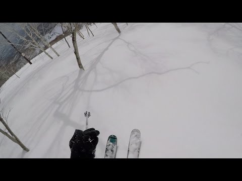 GoPro Niseko Tree Run