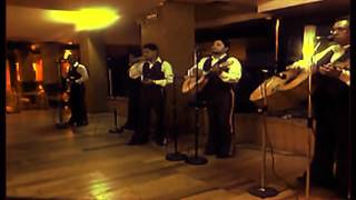 MUSICO VOCAL "REALES DE MEXICO"  YA LO SE QUE TU TE VAS